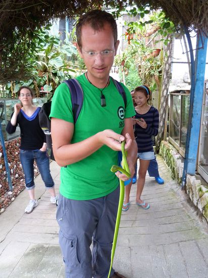 Auf der Insektenfarm überwand sich alex sogar und ging auf Tuchfühlung mit einer Schlange.