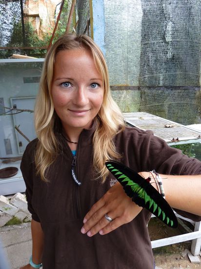 Die Schmetterlinge waren ebenfalls sehr zutraulig