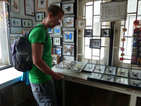 Leichter Ekel im Souvenirshop