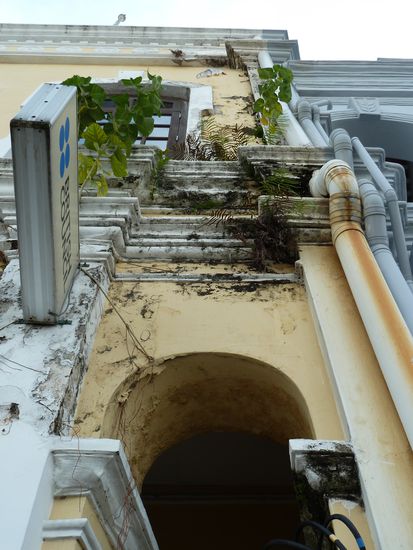 Ist da nen Blumentopf kaputtgegangen oder was???