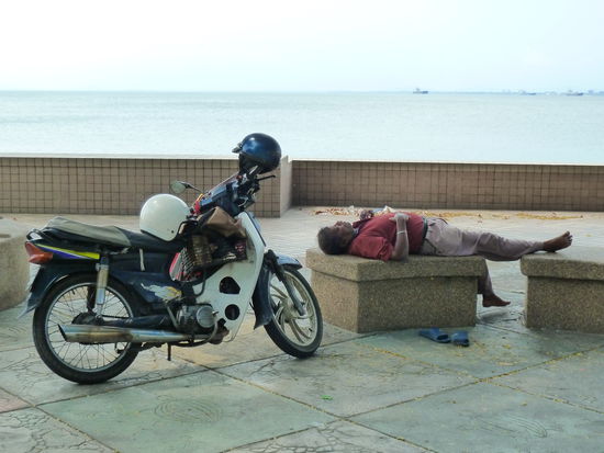 ... wobei wir beide sehr neidisch auf diese extreme Form der Entspannung mit ausgiebigen Plautzegraulen waren.