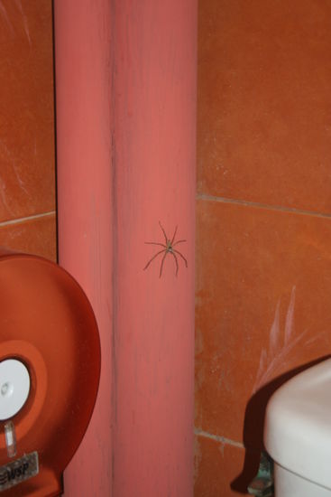 AAAAAAAAAAAAAAAAALLLEEEEEEEEEEEEEEXXXXXXXXXXXX!!!! MACH TOOOOOOOT!!!!!