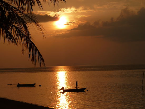 Auf einer Inselrundtour entstant dieses schöne Exemplar... Mehr Thailand geht nicht 
Und nach vier Tagen ging es dann nach Bangkok, noch einmal Hektik, Smog und Lärm als Abschluss unserer tollen Reise 