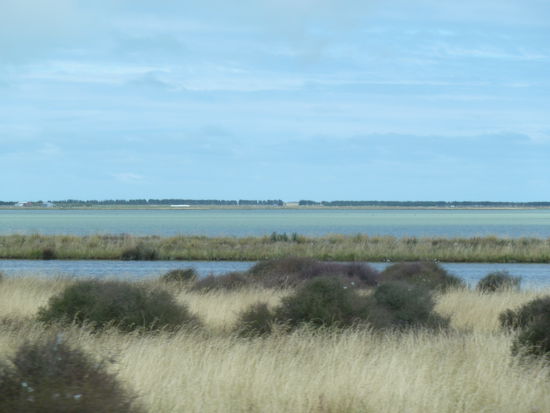 Sicht aus Beifahrerfenster
