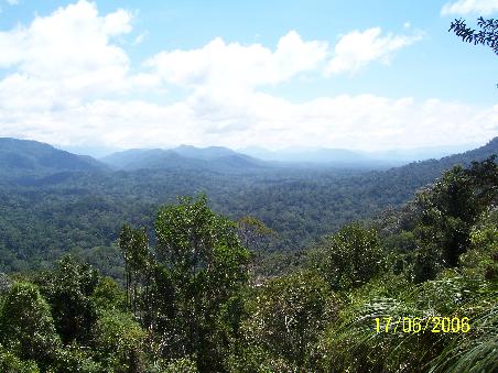 Ausblick ueber den Regenwald