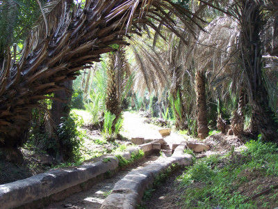 Taroudannt (Oase Tioute)