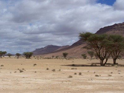 Akka -> Oase Amtoudi