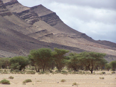 Akka -> Oase Amtoudi