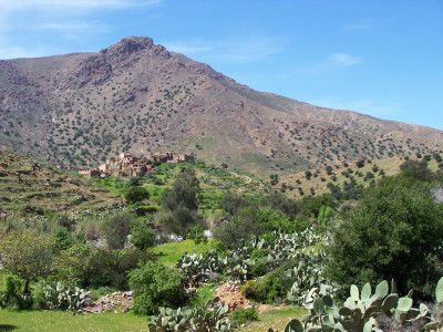 Richtung Tafraoute