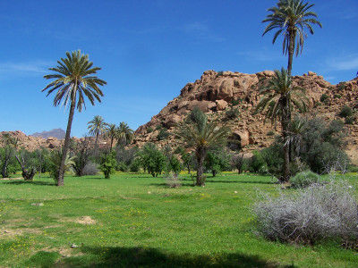 Richtung Tafraoute