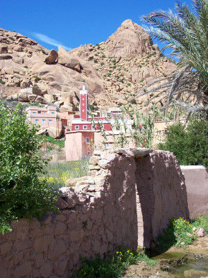 Richtung Tafraoute
