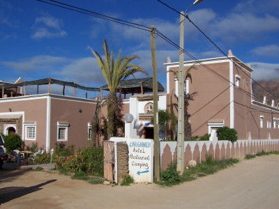 "L'Arganier d'Ammelne"