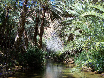 Gorges Ait Mansour