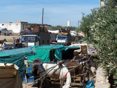 Markt in Had-Draa