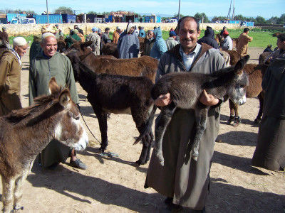 Markt in Had-Draa