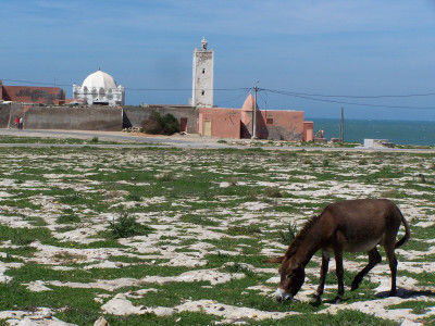 Moulay Bouzerktoun