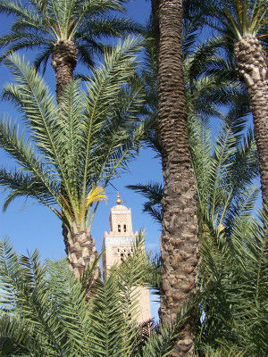 Marrakech