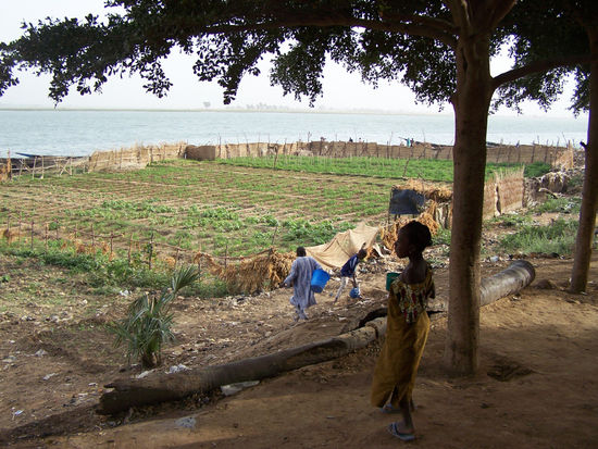 Nigerufer in Segou