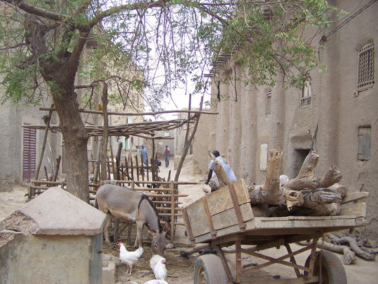 in Djenné