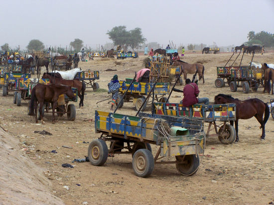 "Parkplatz" vor Djenné