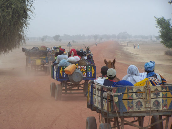 Rückfahrt vom Markt in Djenné
