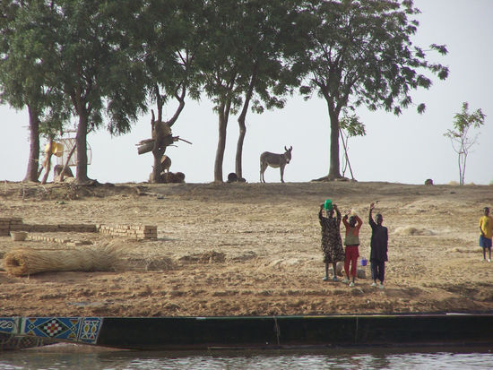 am Bani zwischen Djenné und Mopti