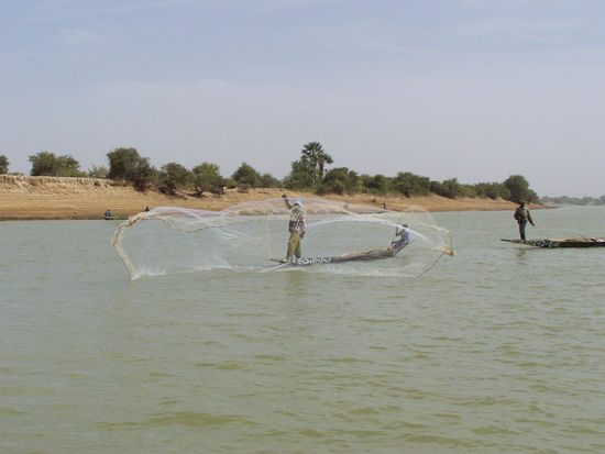 am Bani zwischen Djenné und Mopti
