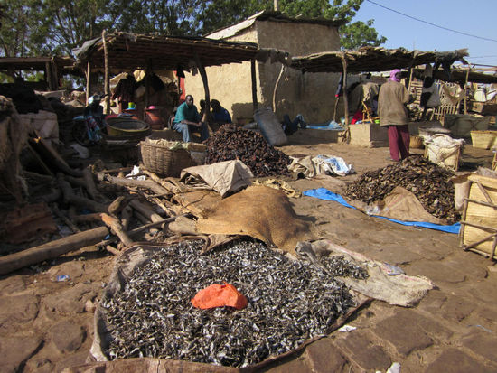 Hafen-Markt in Mopti