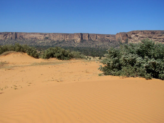 auf der Sanddüne hinter Ireli
