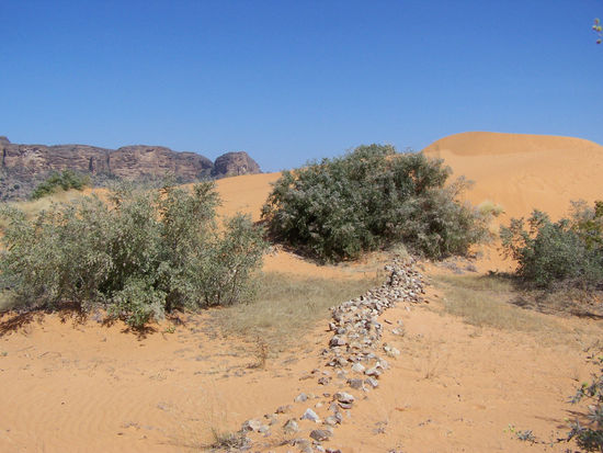 auf der Sanddüne hinter Ireli