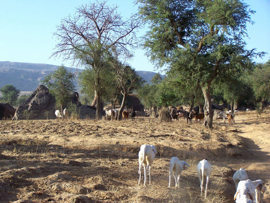 auf dem Weg nach Tiogou