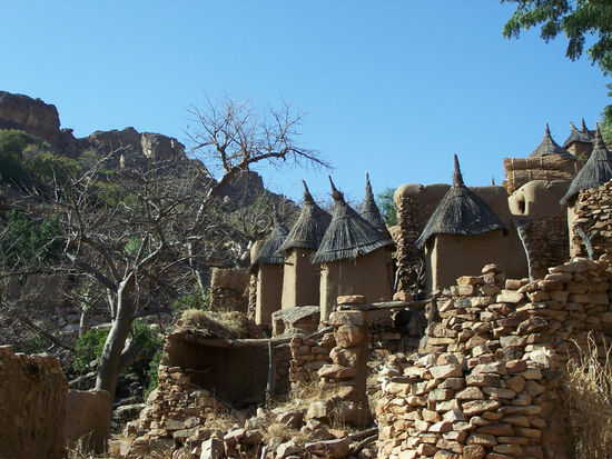 Tiogou