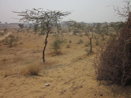 unterwegs nach Bikaner