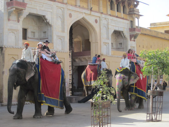 Jaipur: Fort Amber