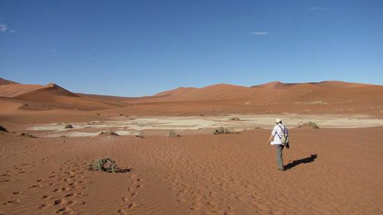 auf dem Weg zum Dead Vlei