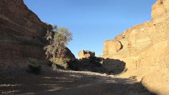 und am Nachmittag noch zum Seyriem-Canyon