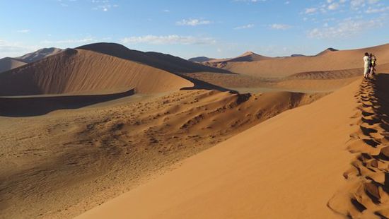 soweit das Auge reicht: SAND
