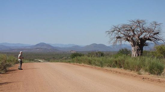 ...mit prächtigem Baobab am Pistenrand