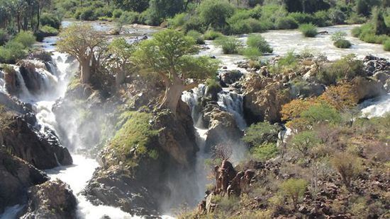 die Baobab-Bäume geben der Kulisse noch einen besonderen Reiz