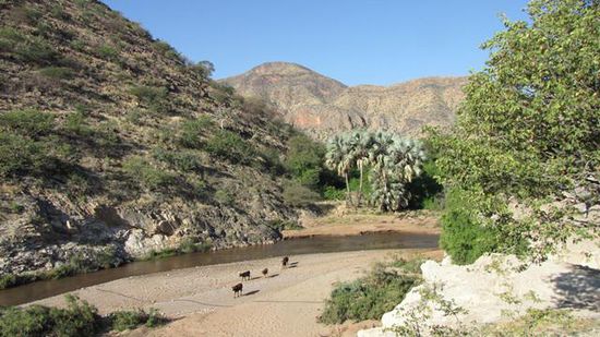 Khowarib-Community-Campsite: Blick vom Strellplatz