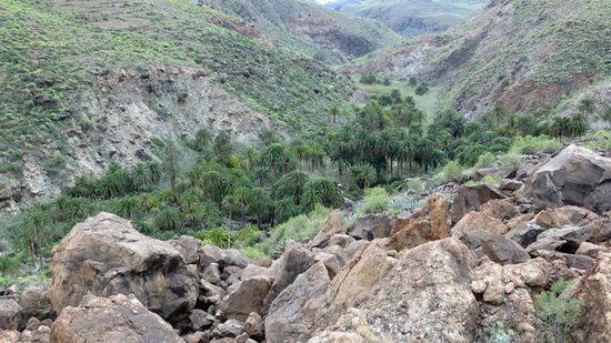 Tal bei der Nekropole von Arteara