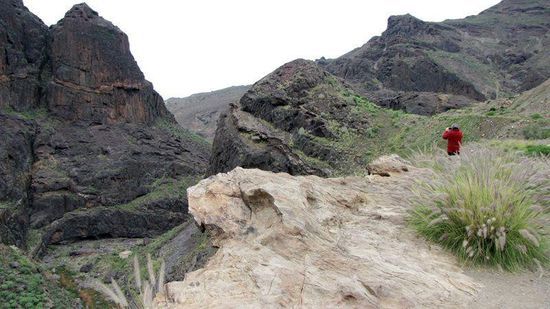 an der Strasse Richtung Aldea de San Nicolas
