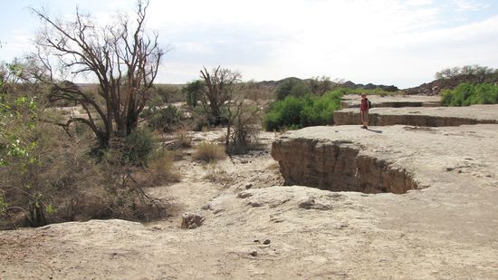 am Ugab-Trockenflussbett