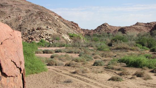 am Ugab-Trockenflussbett