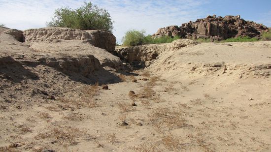 am Ugab-Trockenflussbett