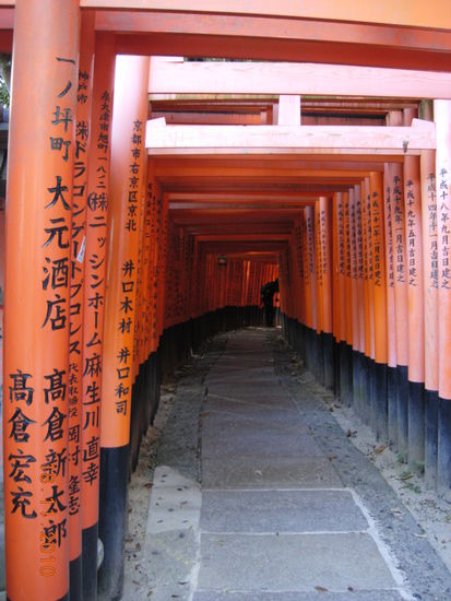 Weg durch die Torii zum Schrein