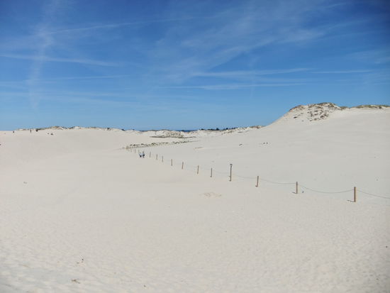 Die Wanderdüne in Leba bei strahlend blauem Himmel (sieht doch aus wie eine Wüste ?!?)