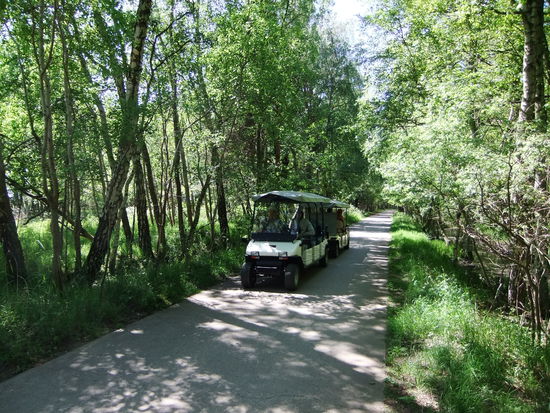 Elektrobahn zur Wanderdüne