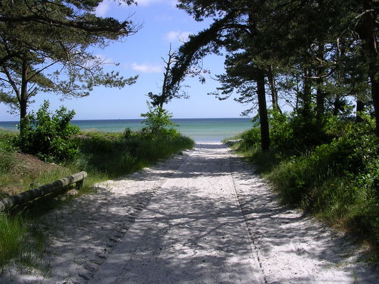 So sieht es hinter den Bäumen aus