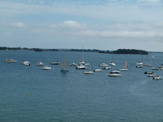 Inselwelt im Golfe du Morbihan